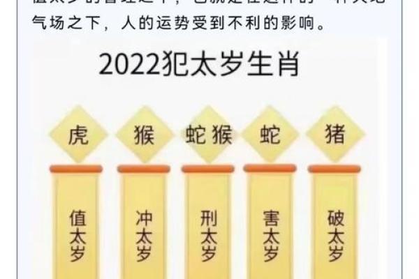 2024年对生肖鼠好不好，属鼠人在2024年的有利方位解析