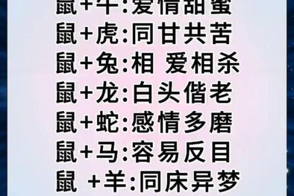 2024年对生肖鼠好不好，属鼠人在2024年的有利方位解析