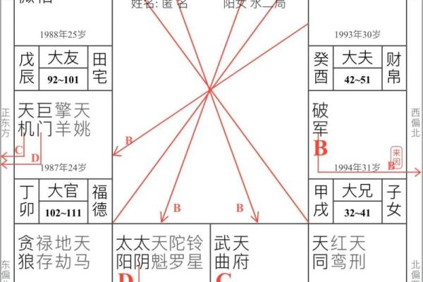 紫薇斗数实例详解视频