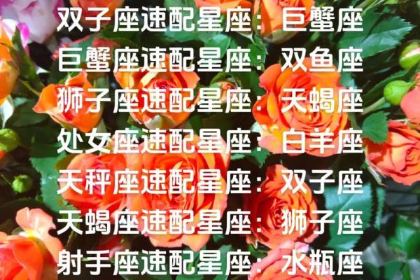 十二星座白羊座适合什么宠物类型