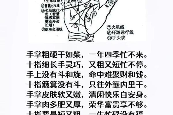 《手相学习百科》：掌纹介绍