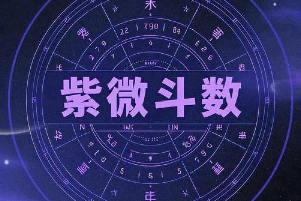 紫薇斗数性格犟