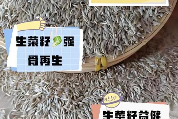 菜籽的风水作用