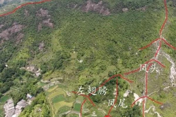 坟地风水：切忌不要葬到这几处