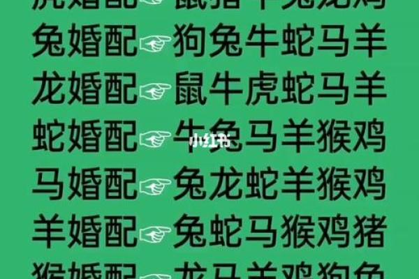 配对要谨慎的生肖组合