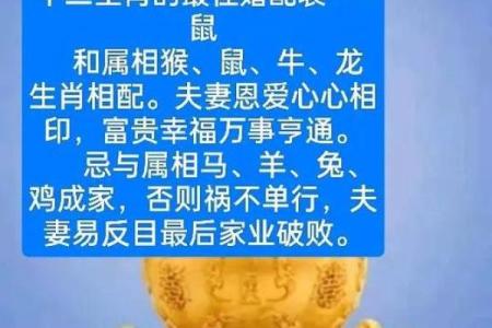 属鼠人招姻缘 属鼠姻缘在哪个方位？