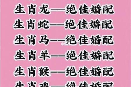 1996年属什么生肖配对