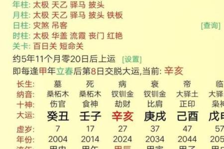 八字解析,八字解析及预测