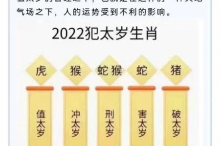 2024年对生肖鼠好不好，属鼠人在2024年的有利方位解析