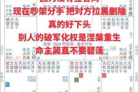 紫薇斗数实例详解视频