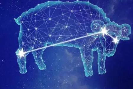 十二星座白羊座适合什么宠物类型