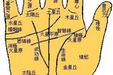《手相学习百科》：掌纹介绍