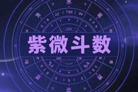 紫薇斗数性格犟