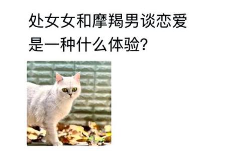 男生处女座和什么星座最配 处女女和什么星座最配男生