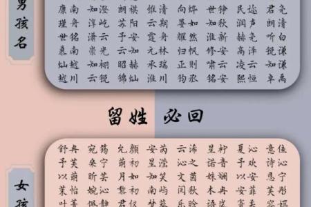 教你给属鸡酉时出生的男孩起名的实用技巧姓名