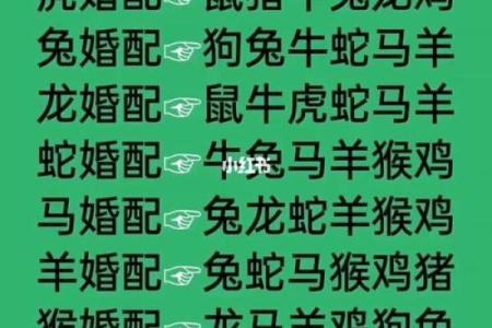 配对要谨慎的生肖组合