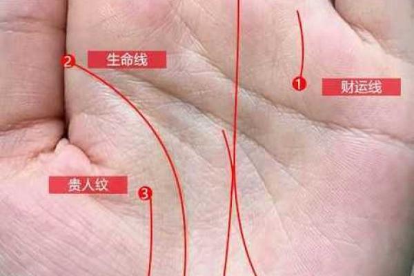 《手相学习百科》：手相看事业、职业