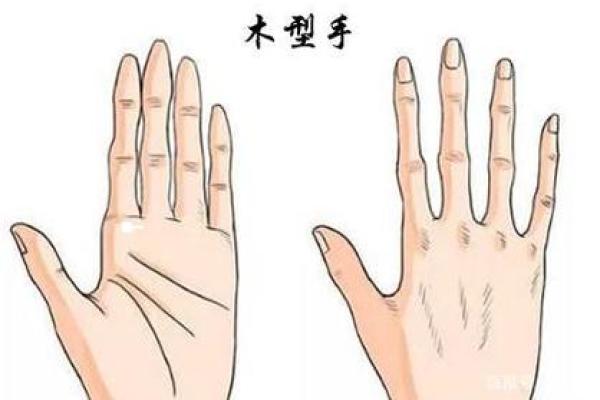 【手型算命】最基本的手型之哲学手