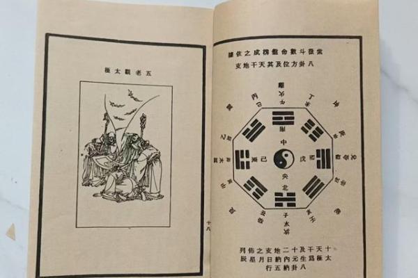 紫薇斗数南北山人