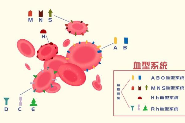 4种血型的流泪指数分析