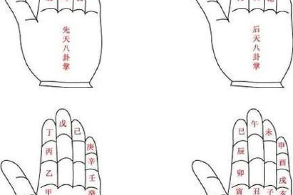 紫薇斗数掌中决