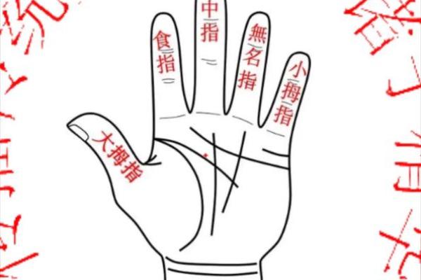 紫薇斗数掌中决