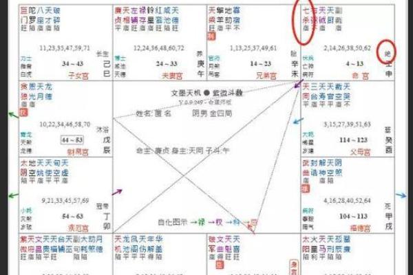 紫薇斗数长生寓意