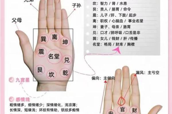 《手相学习百科》：双手之间的差异