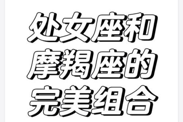 摩羯座女生处女座男生配对怎么样