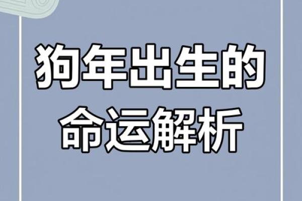 算命先生狗年出生的命运