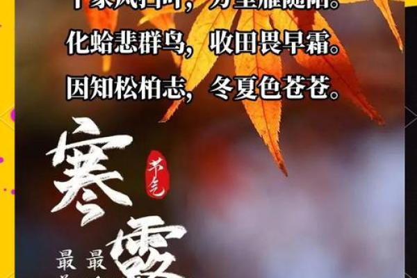 寒生露凝，透过民俗望寒露禁忌