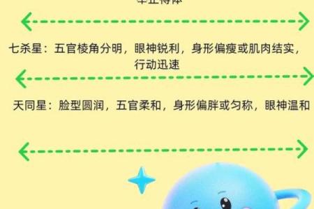 紫微斗数主强宾若 紫微斗数强宫？
