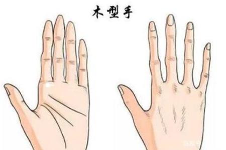 【手型算命】最基本的手型之哲学手