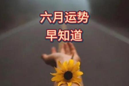 塔罗牌测试六月事业运