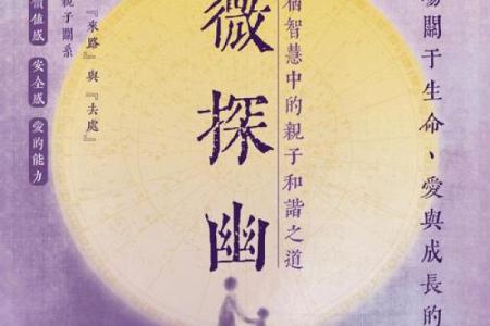 紫薇斗数南北山人