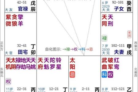 紫微斗数怎么排盘