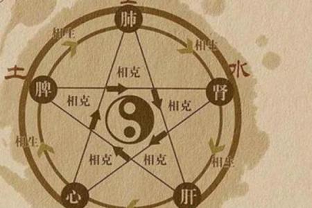 脸的各部位胎记算命详解