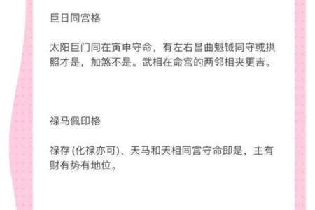 紫薇斗数的见是什么意思