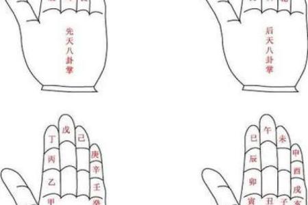 紫薇斗数掌中决