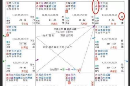 紫薇斗数长生寓意