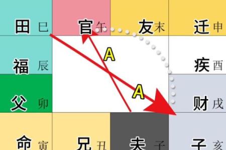 紫薇斗数排盘准不准