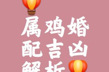 属鸡人属相姻缘配对