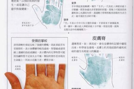 《手相学习百科》：双手之间的差异