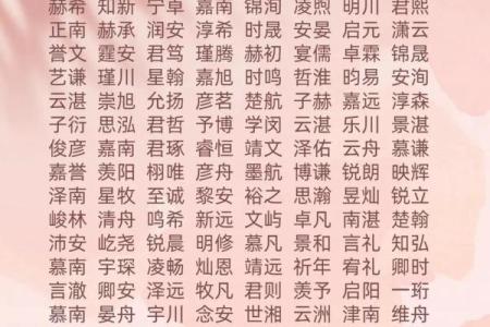 2019年4月5号辰时出生的男孩起名方法姓名
