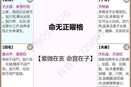 紫薇斗数免费合婚