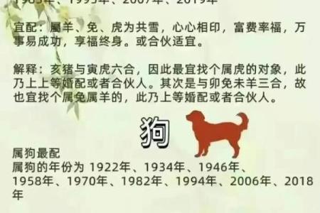 70年属什么生肖的命 70年属什么生肖配对
