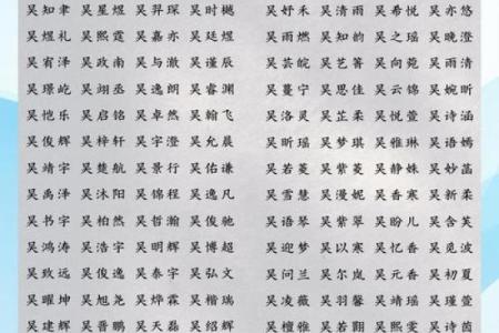 吴姓女孩名字大全-吴姓女孩起名字大全-吴姓名字大全姓名