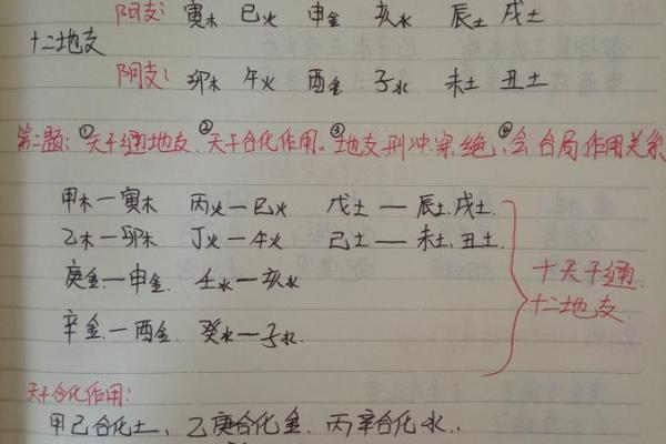 八字入门必背知识