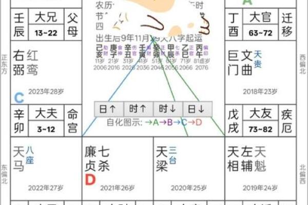 紫微斗数驾照 紫微斗数看学历 考运？