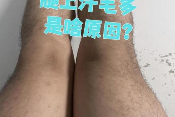 腿上有毛算命